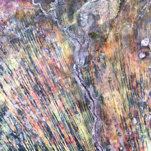 Aerial photograph with a blend of vivid and earthy colors featuring linear patterns that resemble geological formations or agricultural fields. Curved lines and textures suggest natural processes or topographical features.