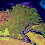 Aerial view of a river delta with intricate branching patterns and vibrant colors. The landscape features green vegetation interspersed with dark water channels and small water bodies. The contrast between the land and the deep blue sea creates a striking natural composition.