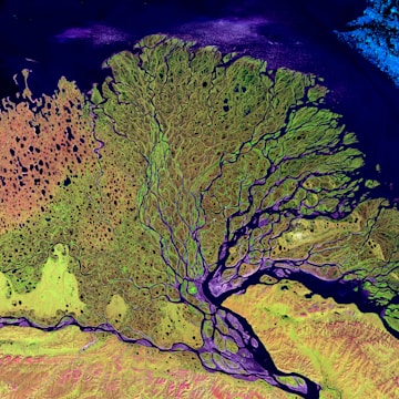 Aerial view of a river delta with intricate branching patterns and vibrant colors. The landscape features green vegetation interspersed with dark water channels and small water bodies. The contrast between the land and the deep blue sea creates a striking natural composition.