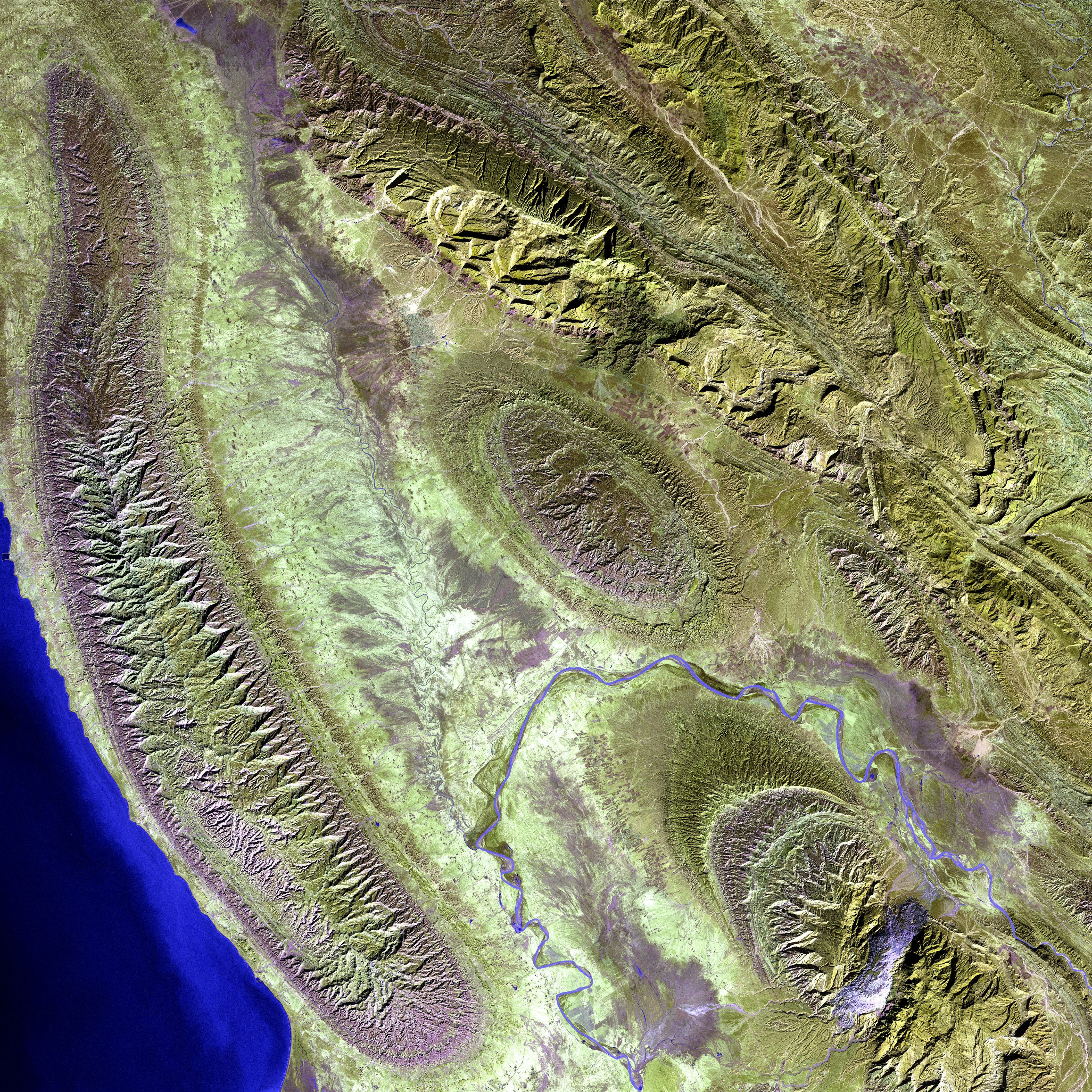 Who Made the Capybara Song