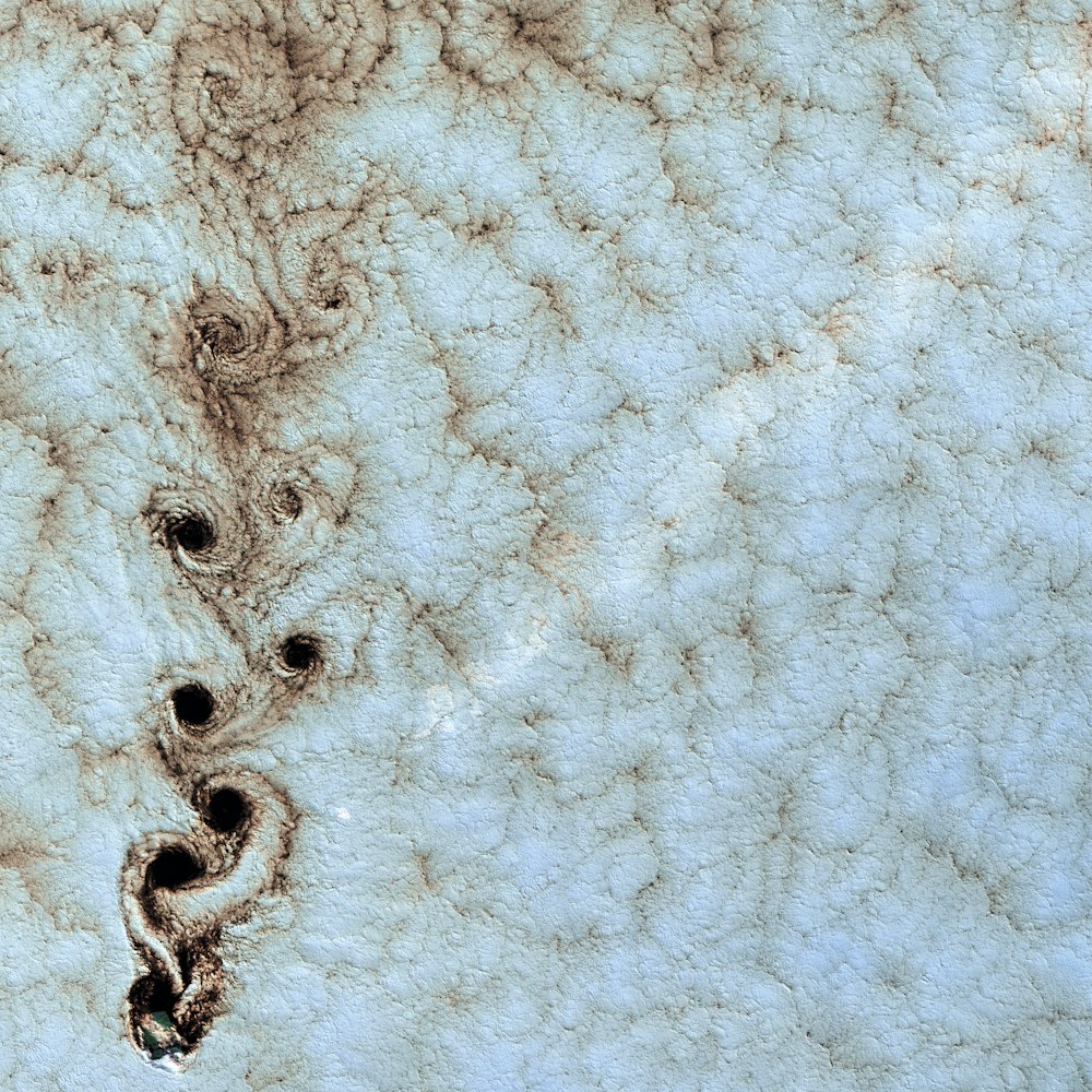 a close up of a rock with a pattern on it