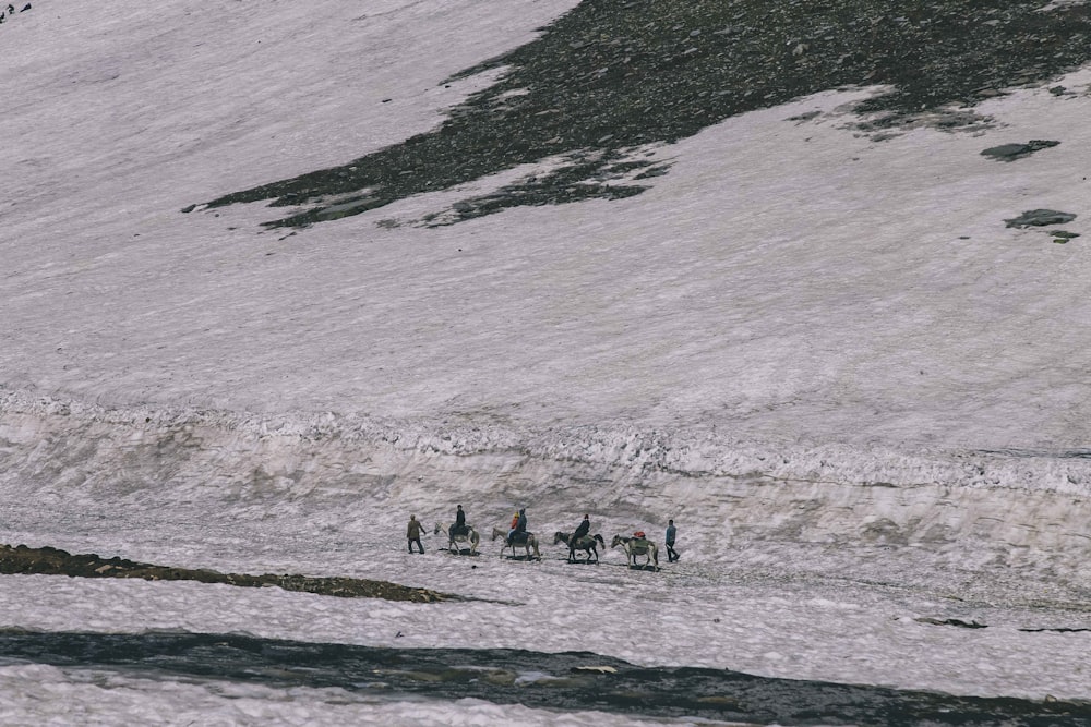 Rohtang Pass Pictures | Download Free Images on Unsplash