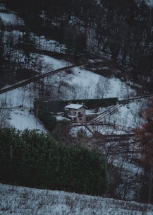 A small house is surrounded by a snow-covered landscape with bare trees and winding paths. Dense forested areas create a dark, moody contrast against the white snow. The scene is tranquil and seemingly isolated, with evergreen shrubs adding texture and color in the foreground.