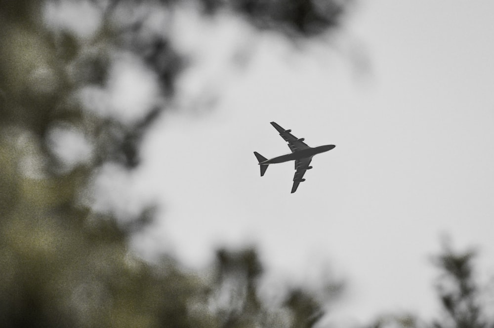 gray airliner under gray sky