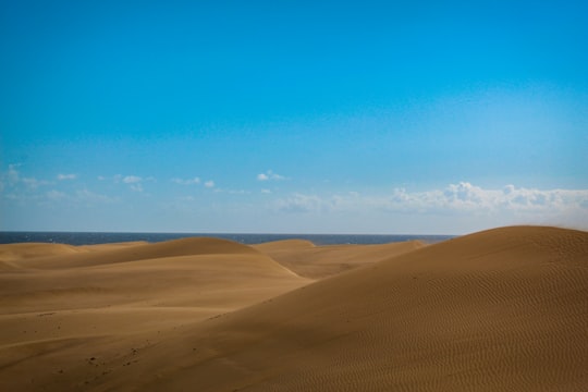 brown desert land in Gran Canaria Spain