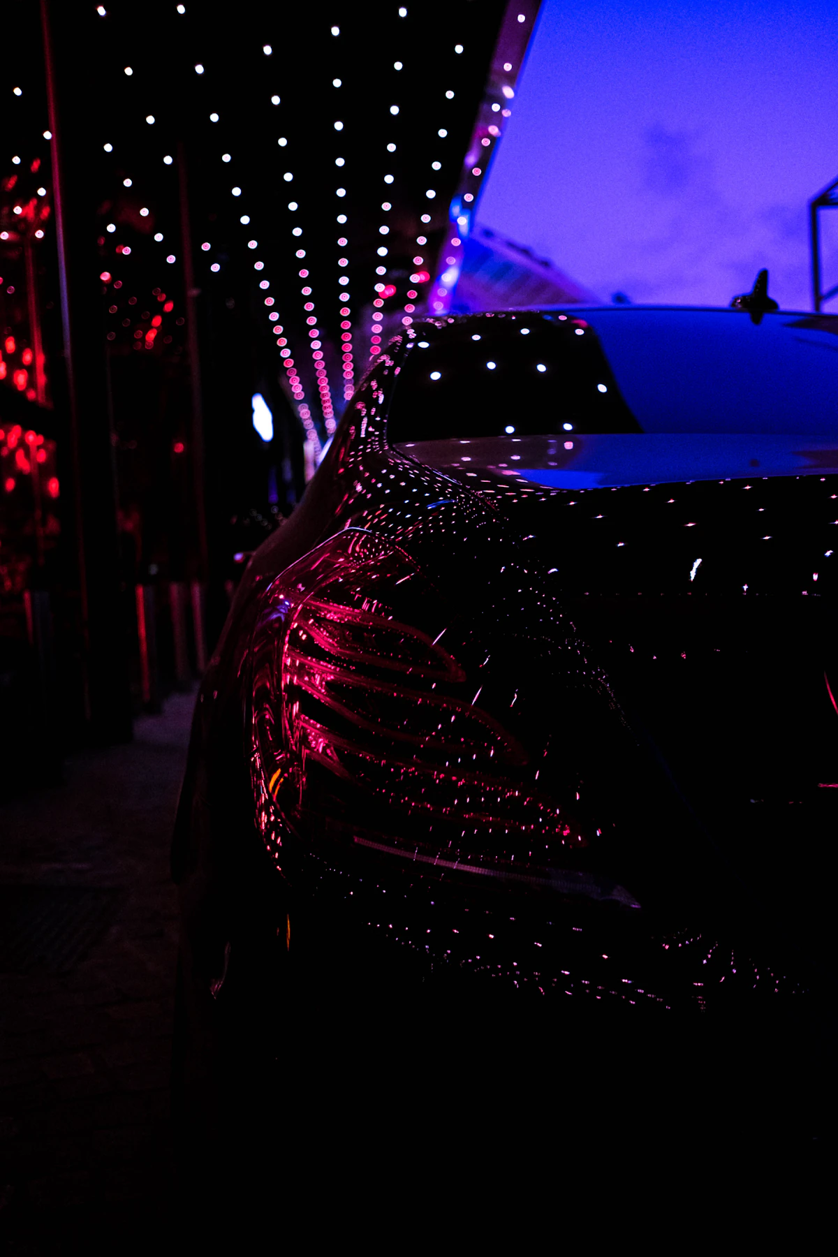String lights decorating a home for the Dyker Heights Christmas lights limo tour