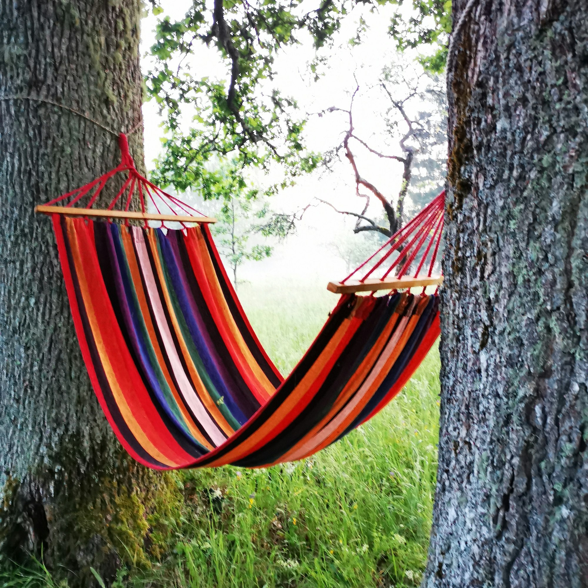Colourful hammock suspended between two trees, illustrating the concept of a pelvic floor hammock.