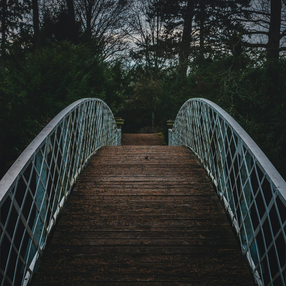 bridge near trees during day