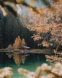 A serene lake scene featuring a small wooden cabin on the water's edge, surrounded by autumnal trees with rich foliage. The calm water perfectly reflects the cabin and trees, creating a mirror-like effect. Soft bokeh is visible in the foreground, enhancing the tranquil and dreamy atmosphere.