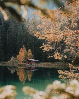 A serene lake scene featuring a small wooden cabin on the water's edge, surrounded by autumnal trees with rich foliage. The calm water perfectly reflects the cabin and trees, creating a mirror-like effect. Soft bokeh is visible in the foreground, enhancing the tranquil and dreamy atmosphere.