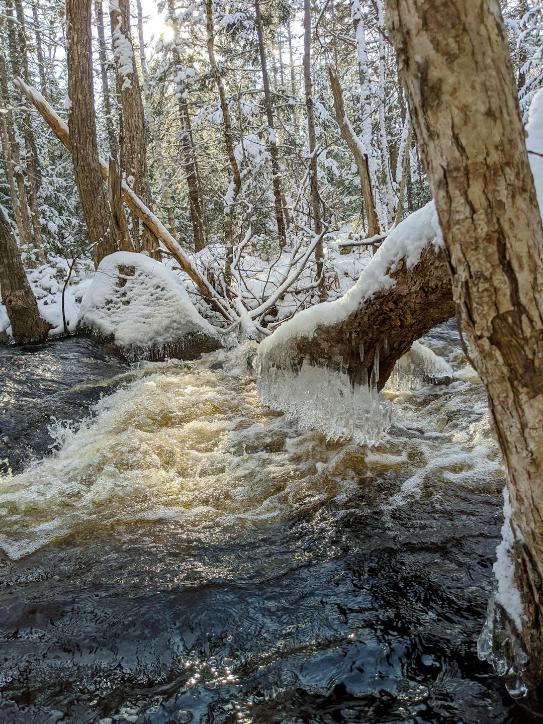 Stream photo spot Nova Scotia Canada