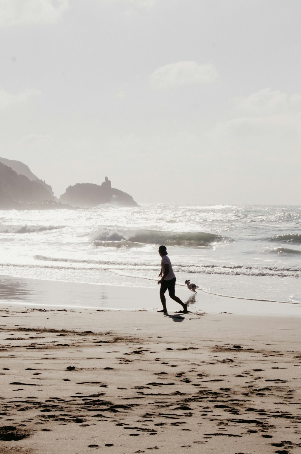 person and dog at the beach during day