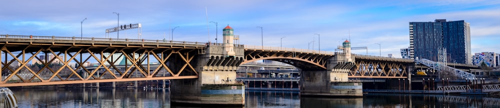 grey concrete bridge near city buildings