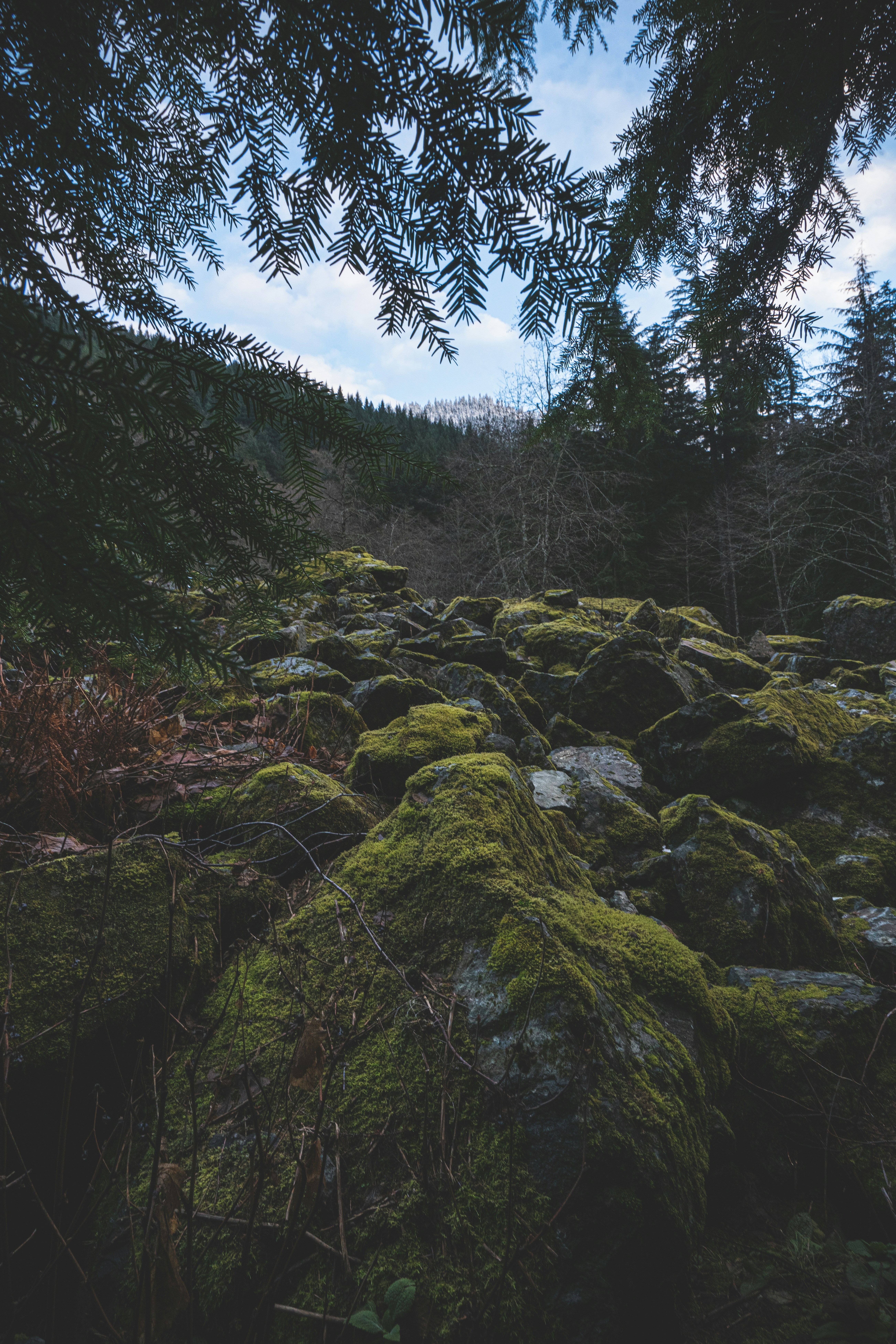 Photo by cameronstewart