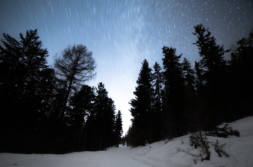 a snow covered road surrounded by trees under a night sky