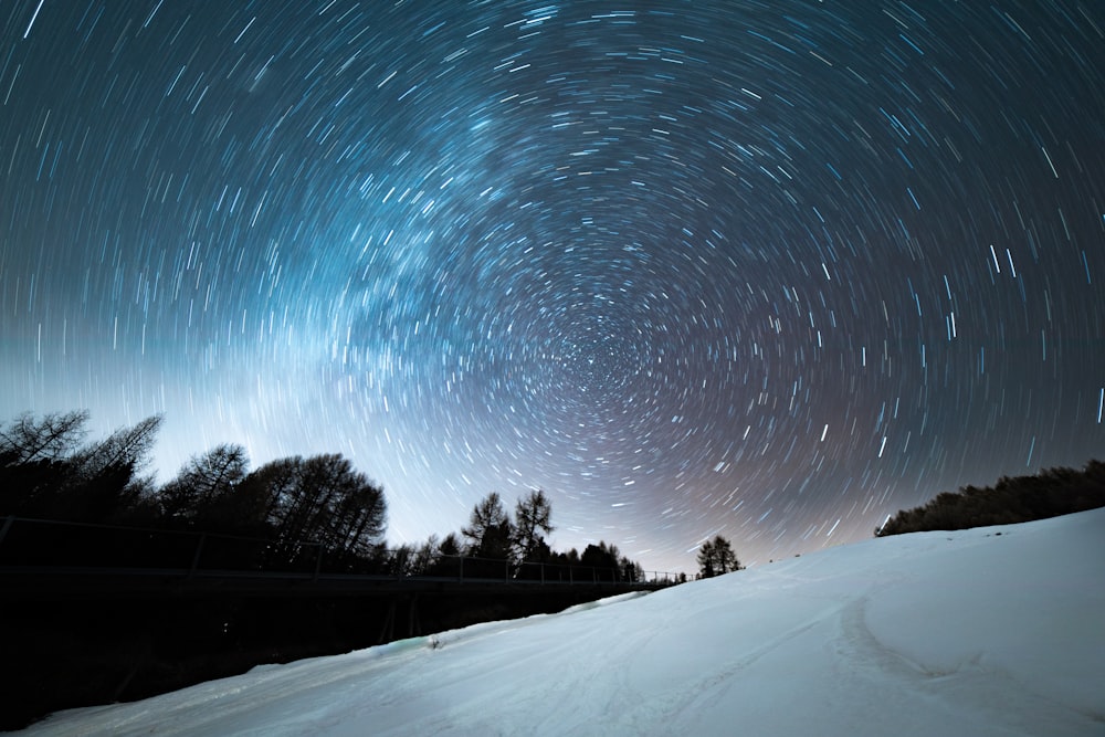 snowfield and trees during night