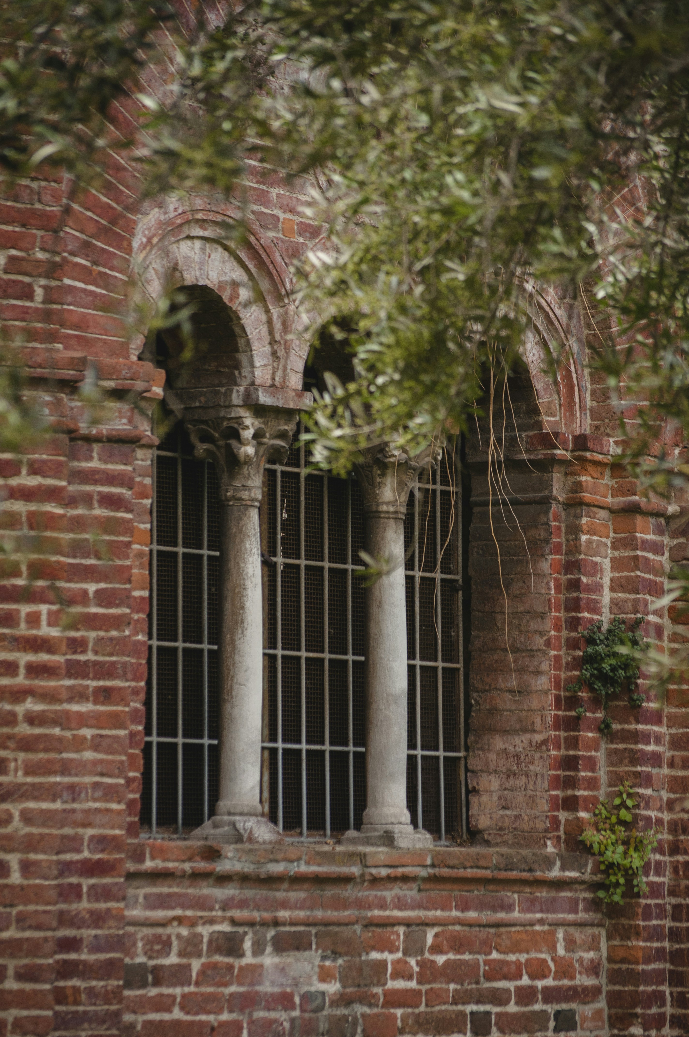 Photo by yuli_superson