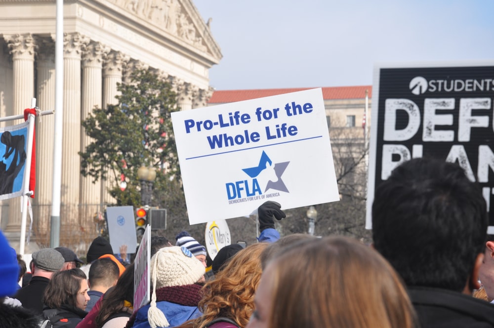 pro-life for the whole life poster