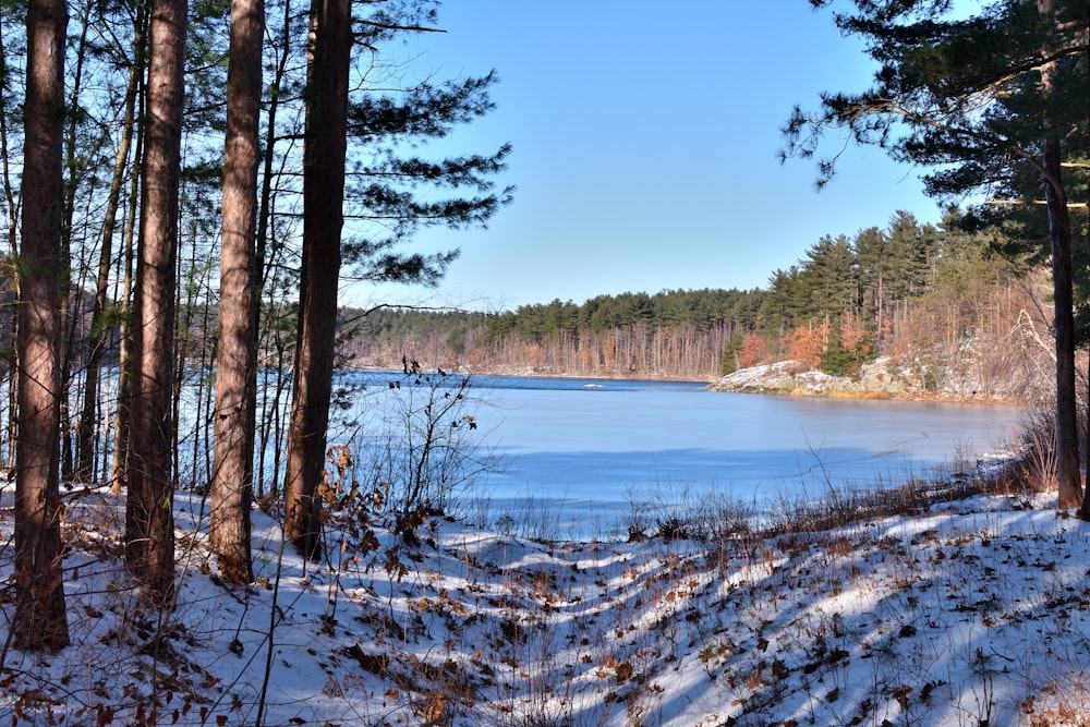 snow covered lake