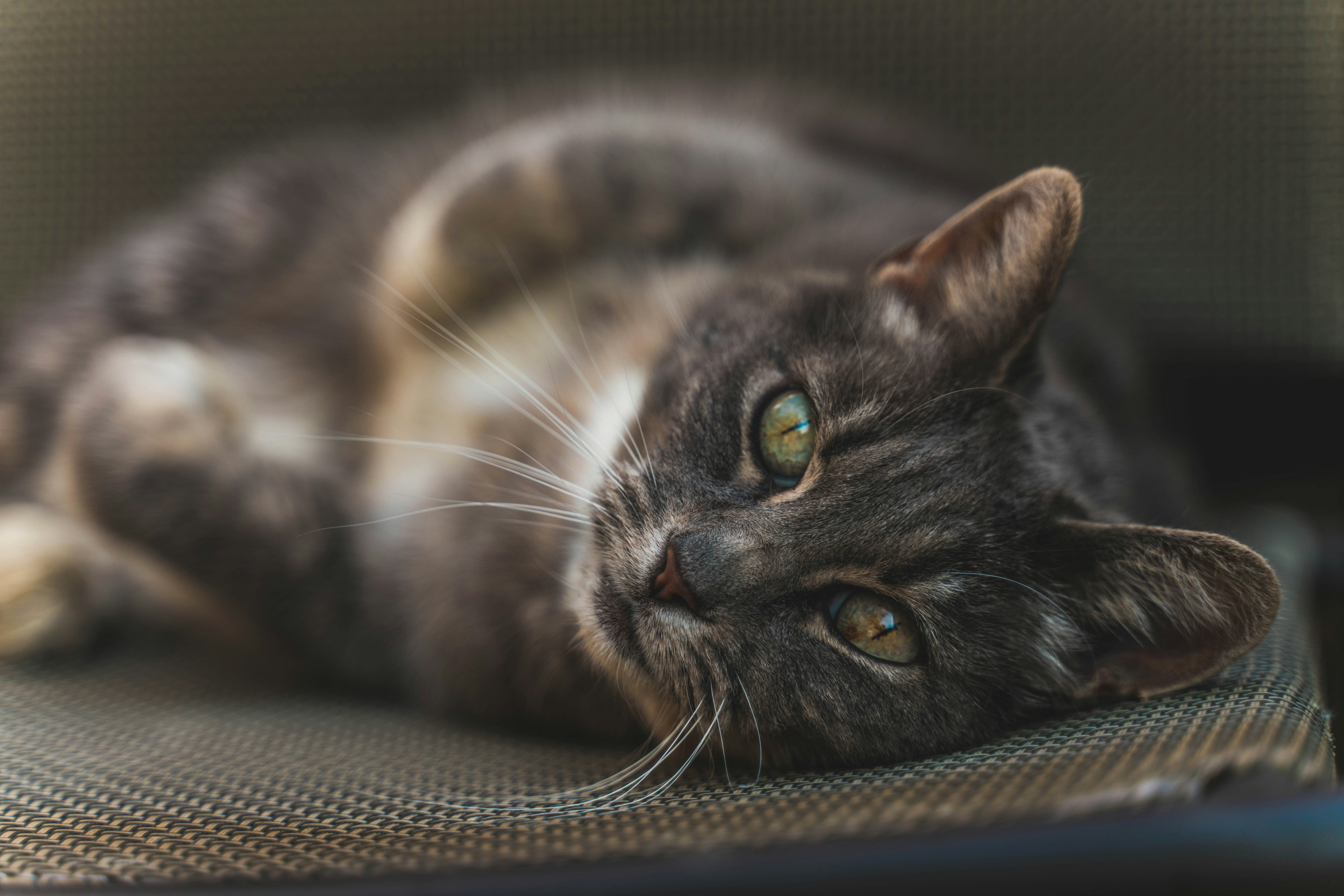 Photo by mjusticephoto