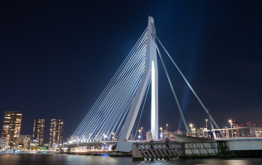 white cable stayed bridge