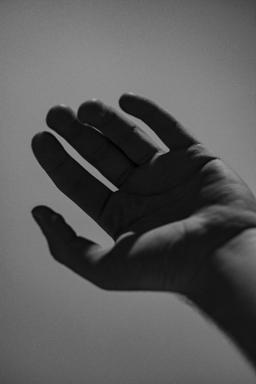 grayscale photography of left hand
