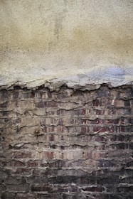 a black and white cat sitting on top of a brick wall