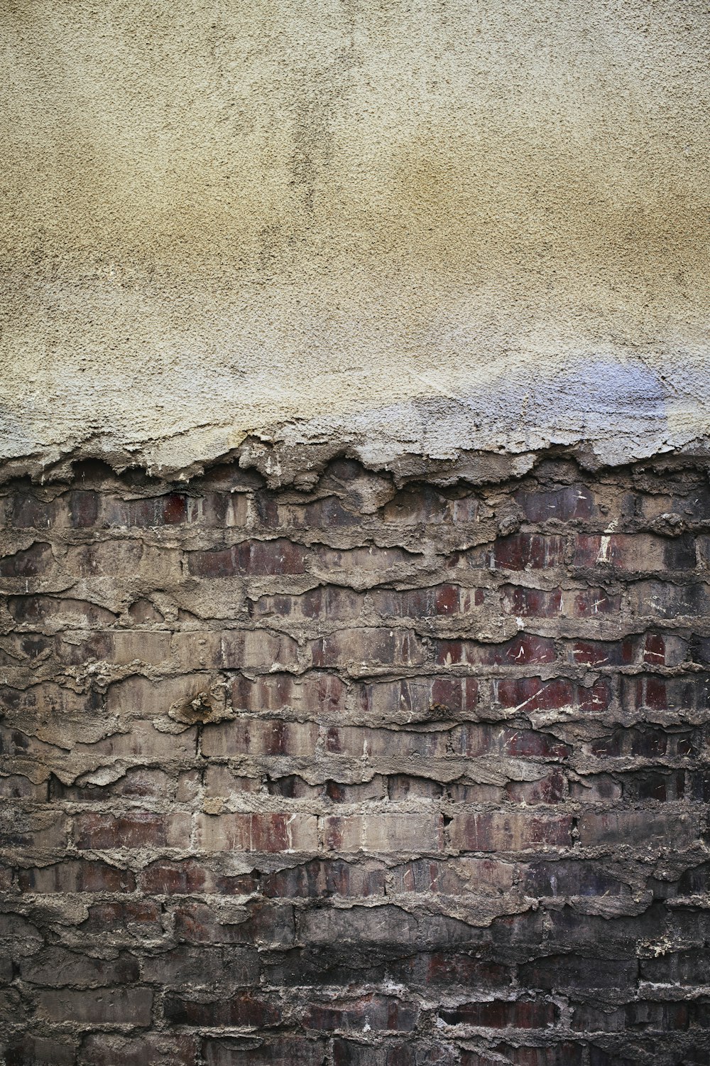 a black and white cat sitting on top of a brick wall