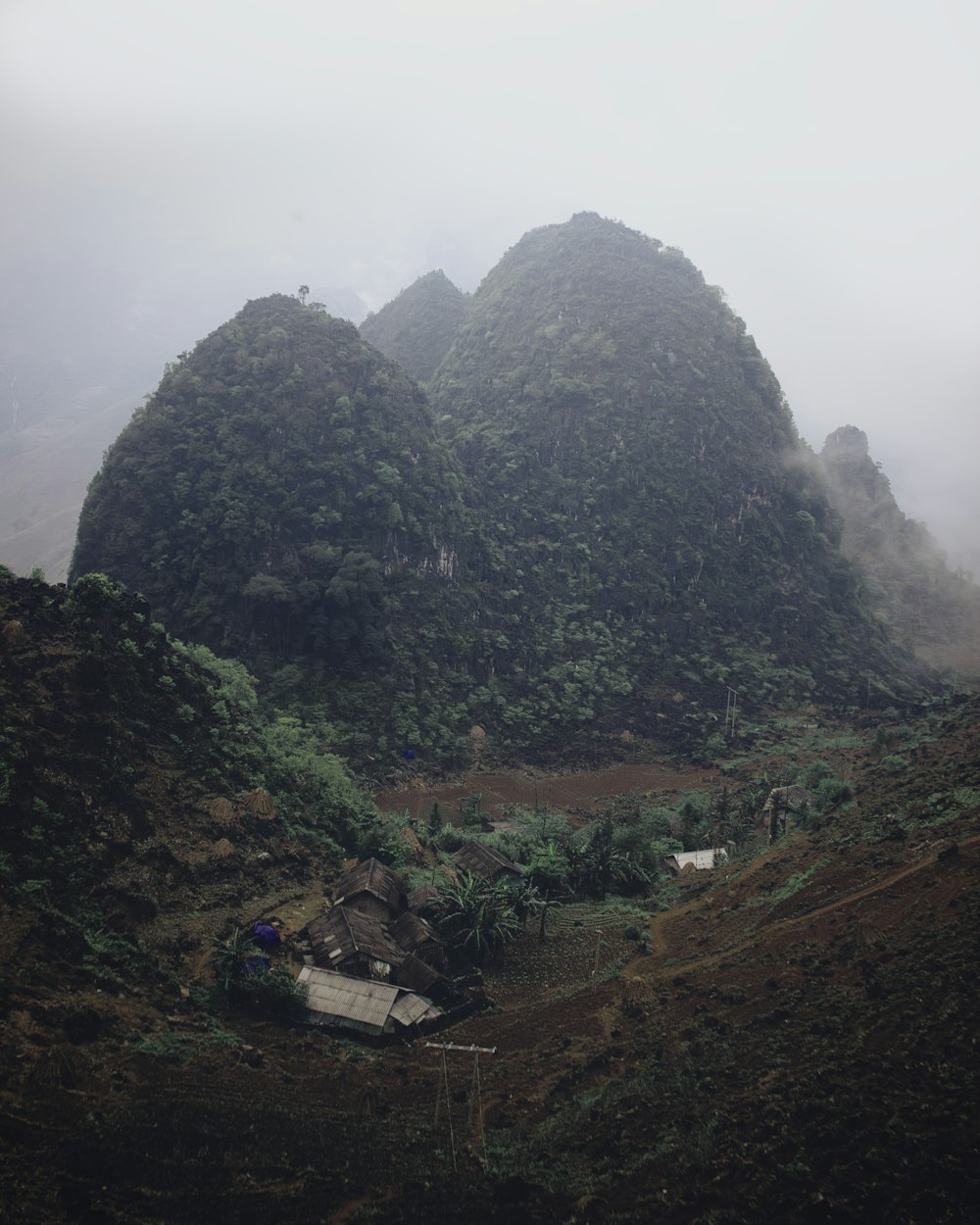 日中の山