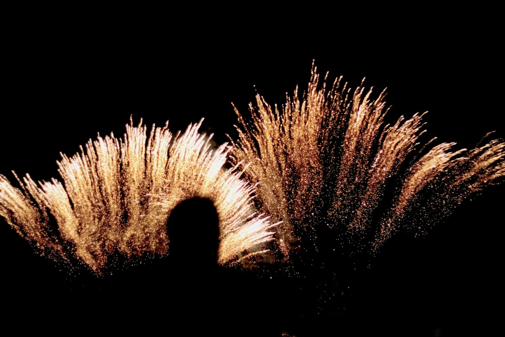 orange fireworks display