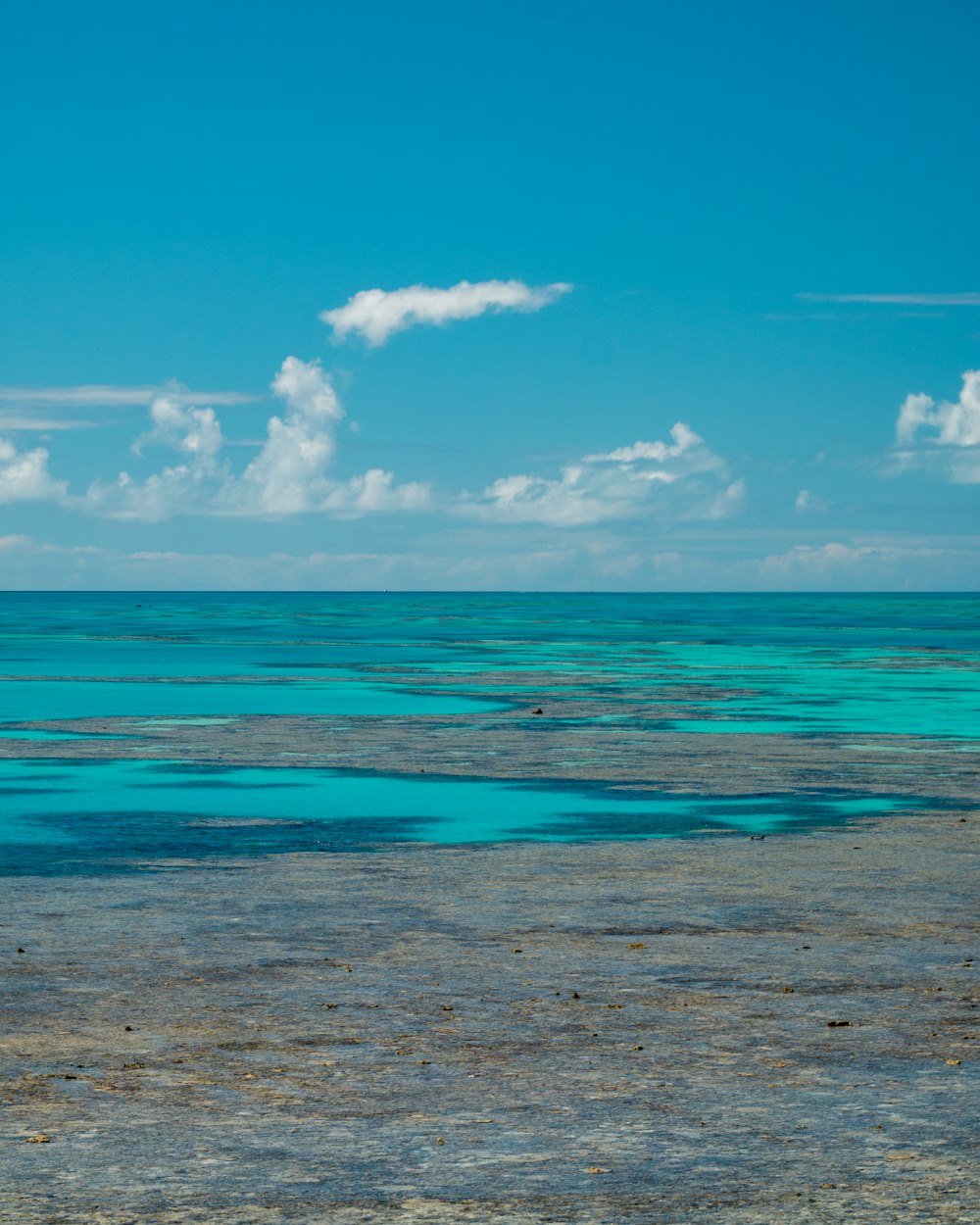 blue body of water under blue and white sky