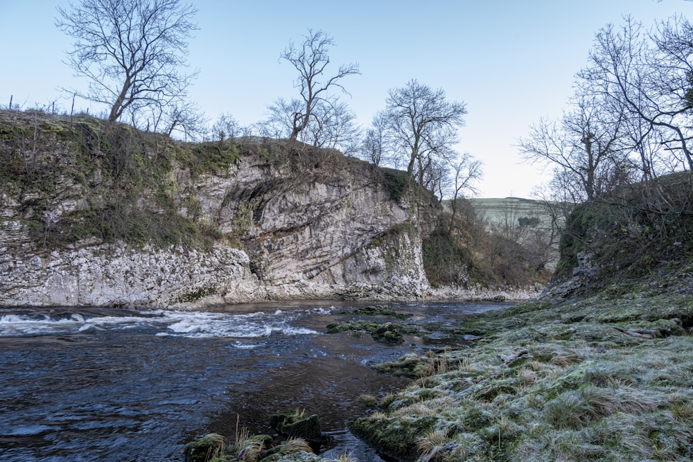 river near bare trees on rocky field