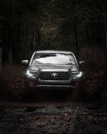 Toyota vehicle photo