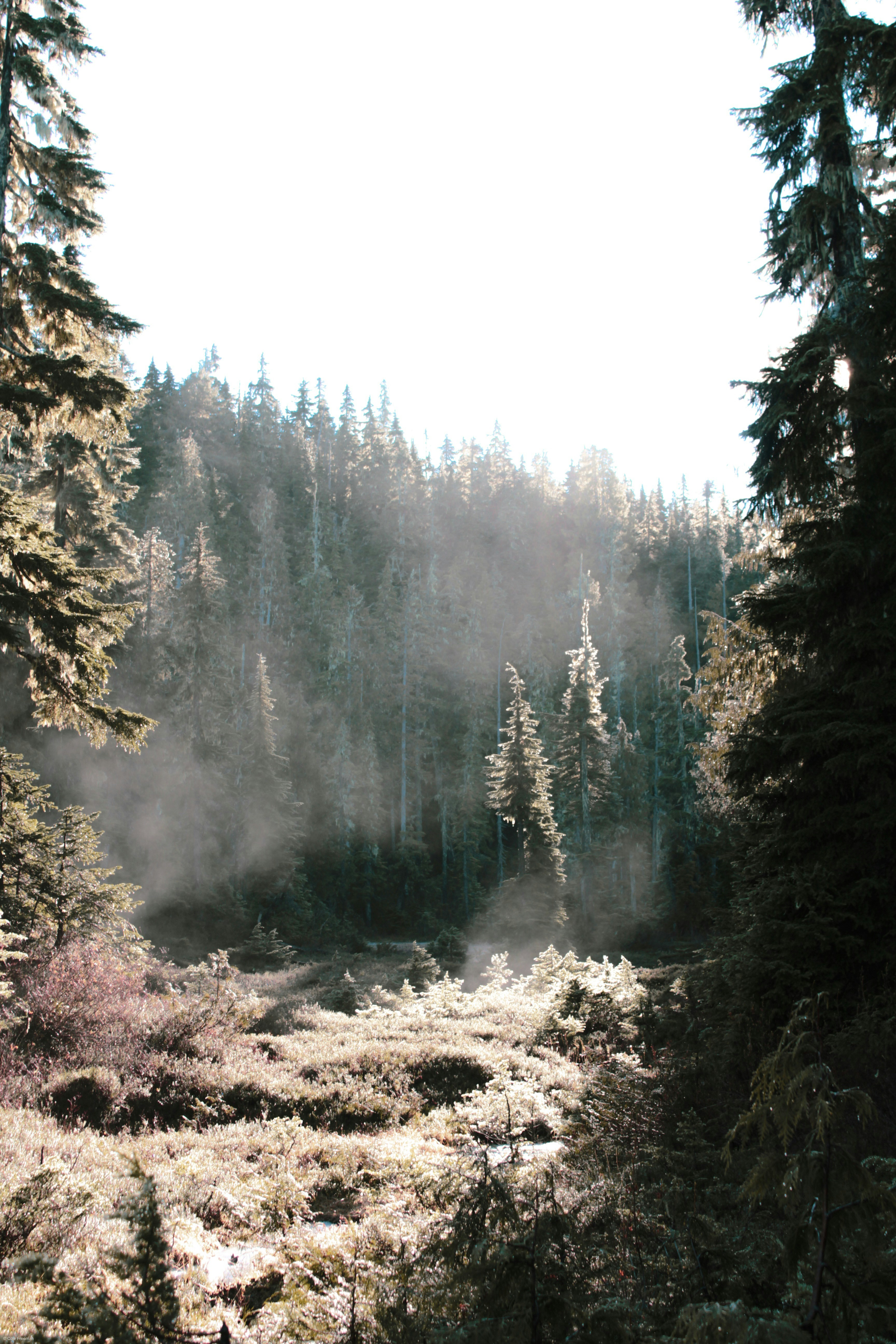 Photo by colefreeman