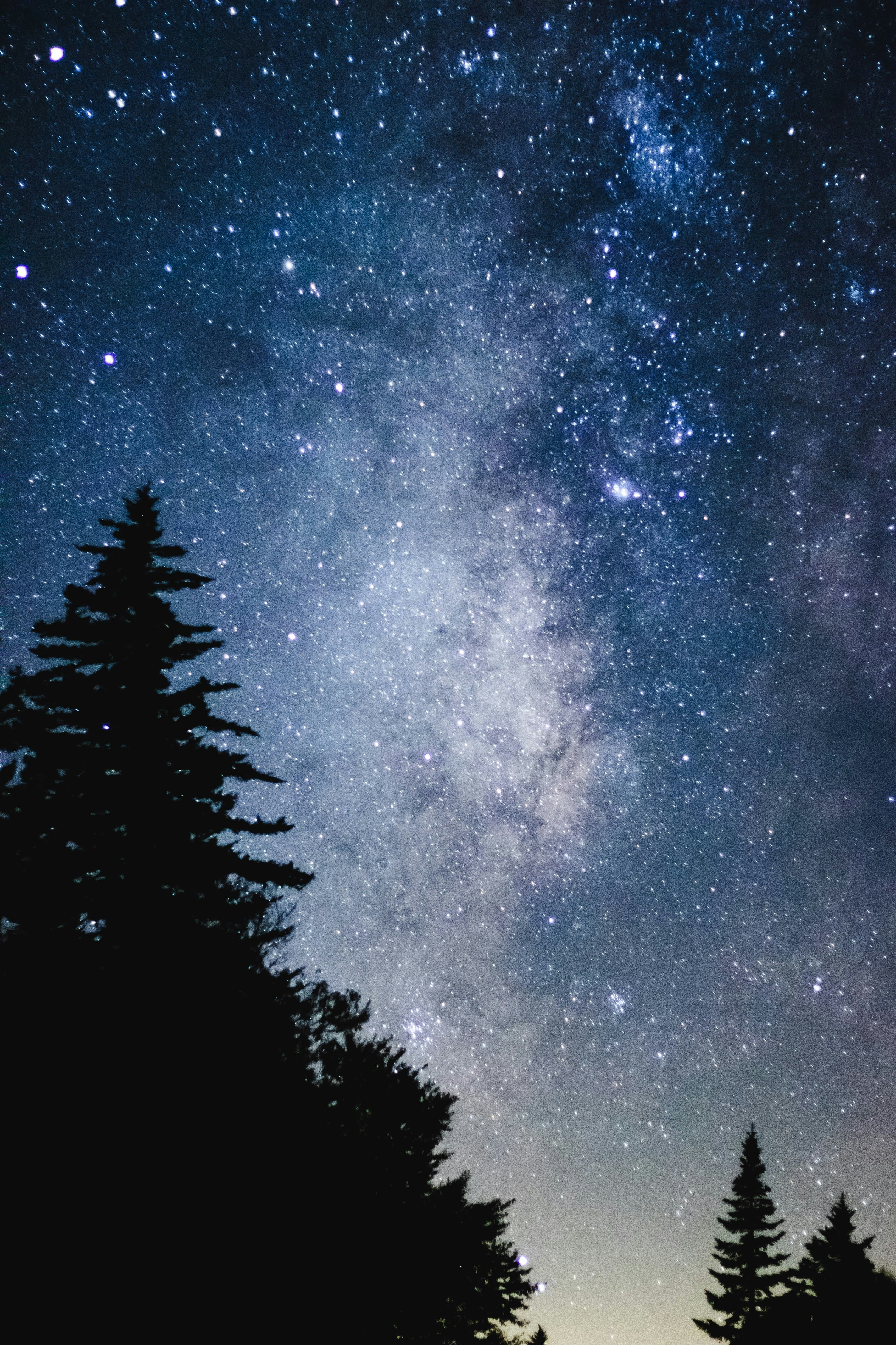 Photo by bradleyallweilphoto