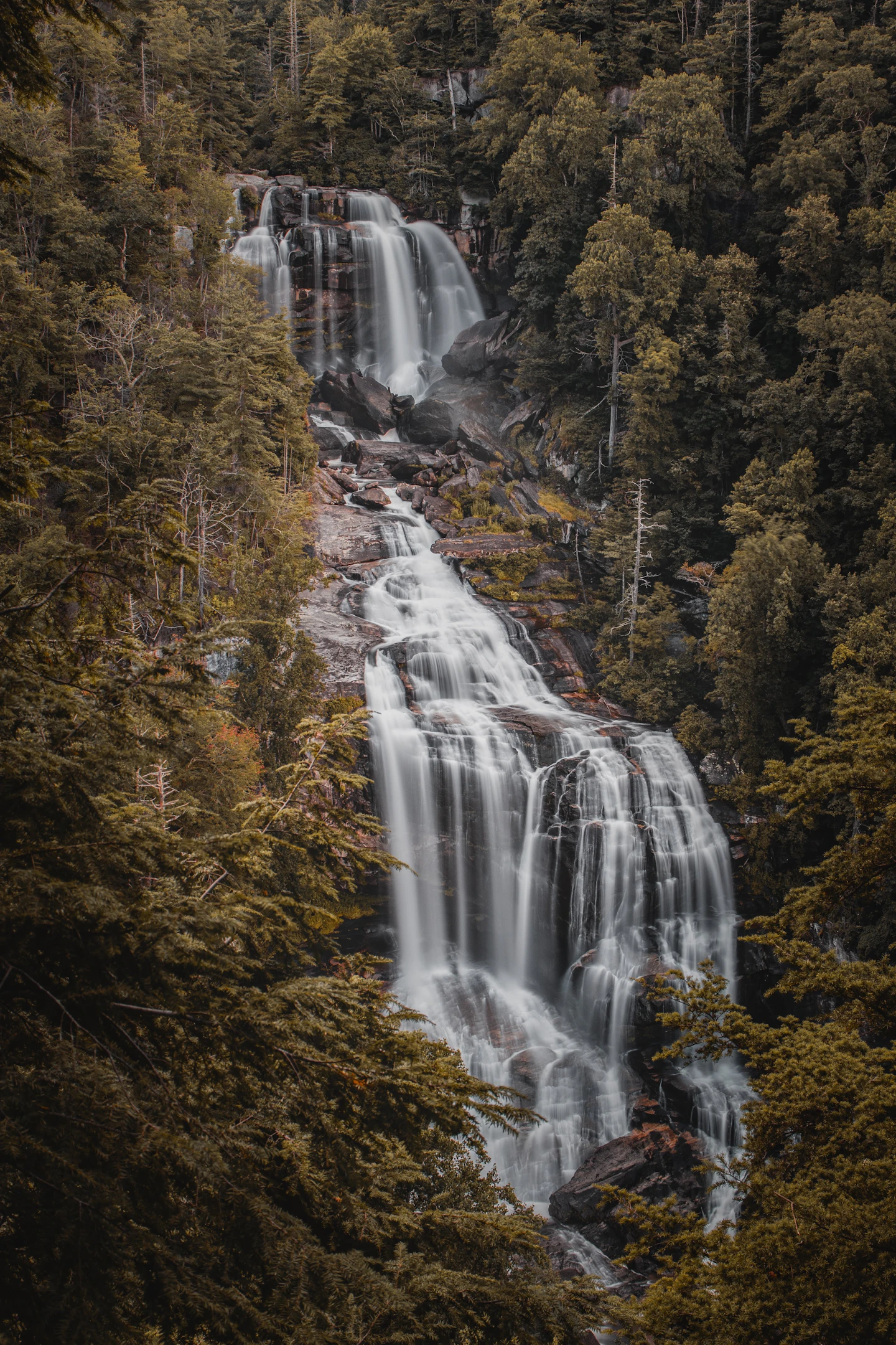 Whitewater Falls dropping through dense forest, photographed with a long exposure.