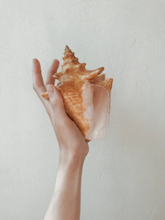 A customer holding the golden conch with a smile, showcasing its size and elegant finish.