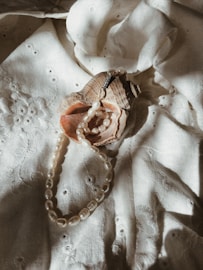 An antique pearl necklace resting on an aged velvet cloth, softly lit to highlight its timeless elegance.