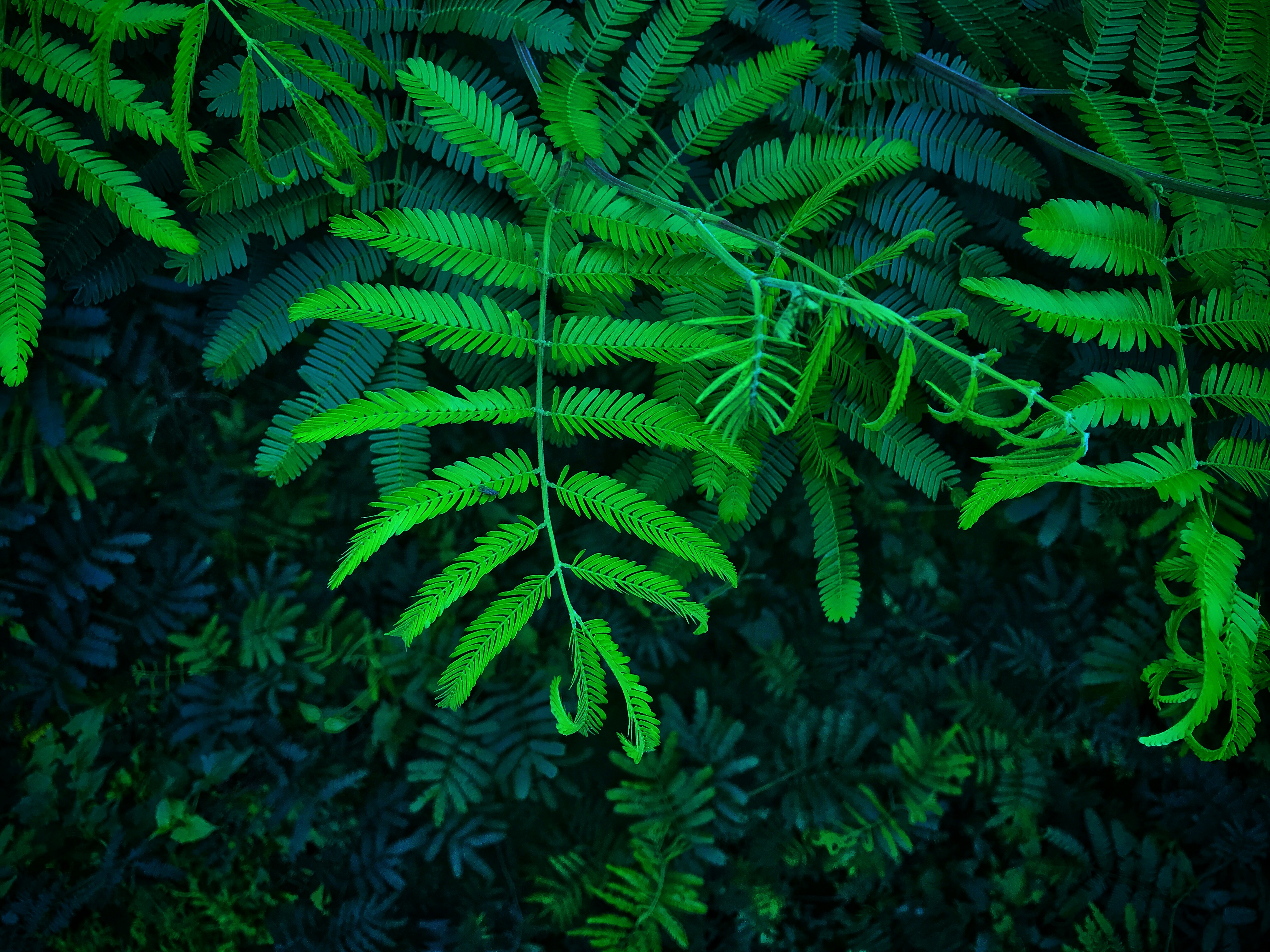 Photo by xiaocheng20180605