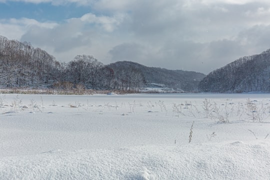 white snow field in Niseko Japan