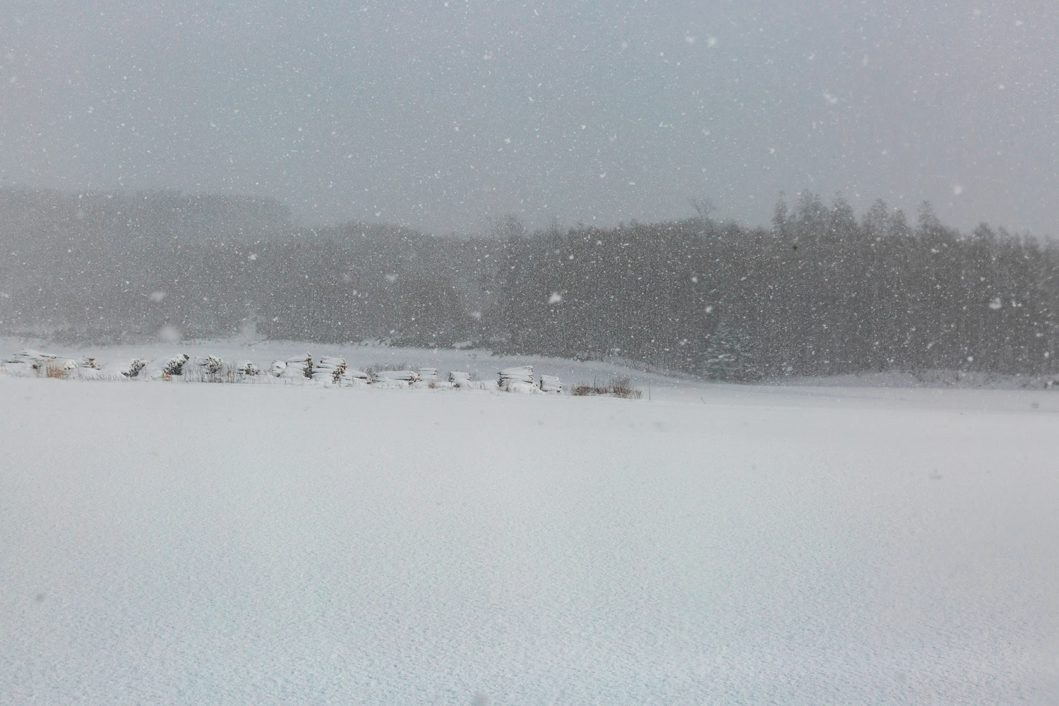 Open field disappearing into falling snow