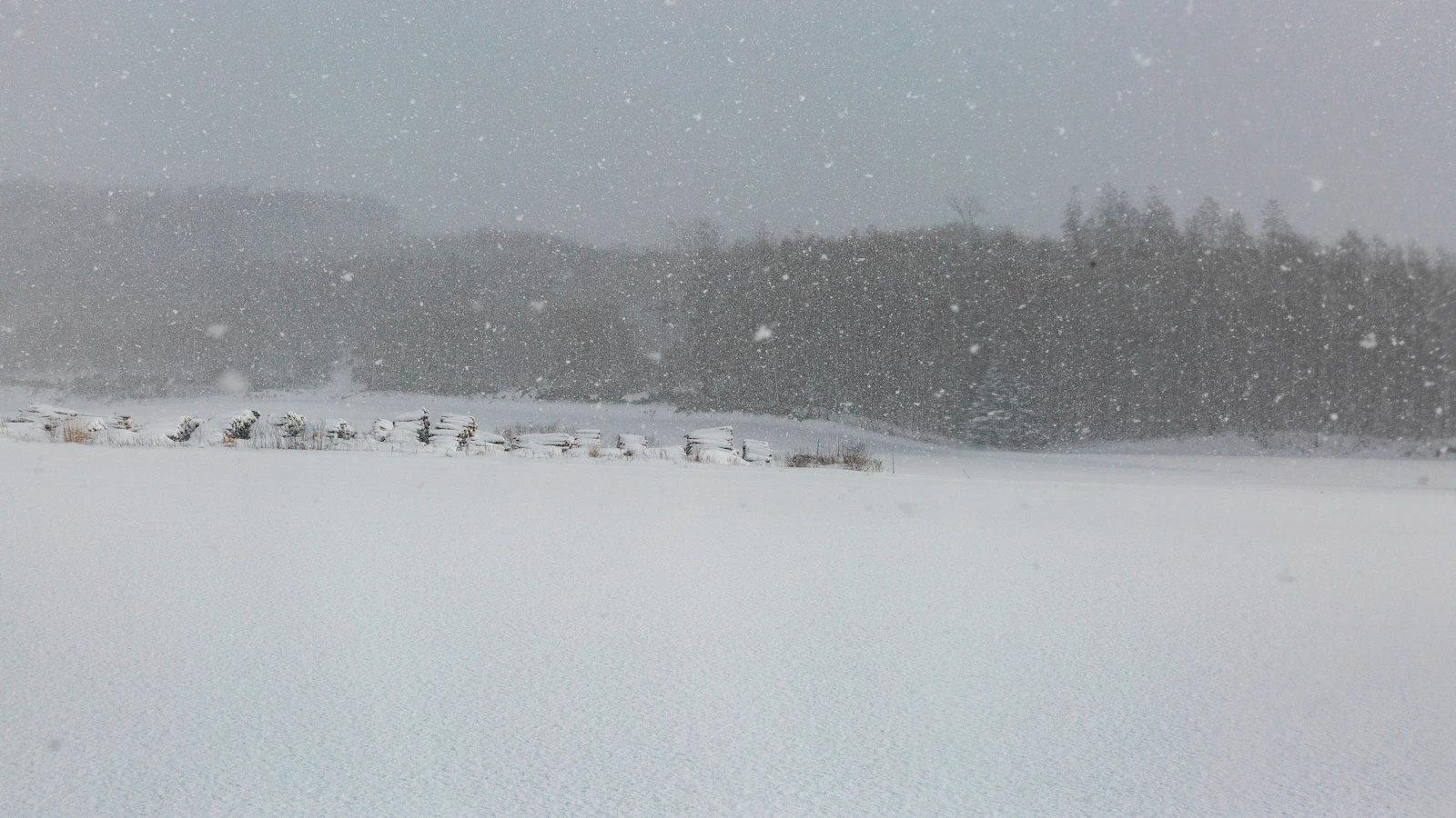 Early morning while visiting Niseko, Hokkaido, Japan, I awoke to an early winter snow storm. The sky was dense with fluf