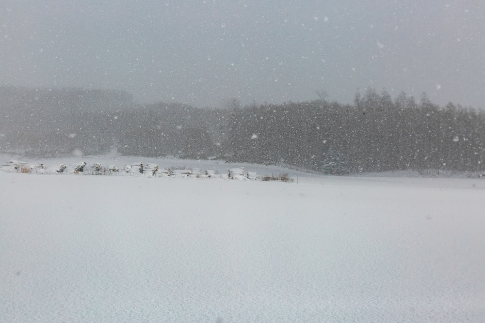 field and trees covered with snow