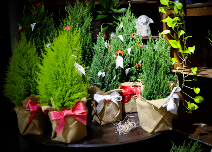 Events and Gifting