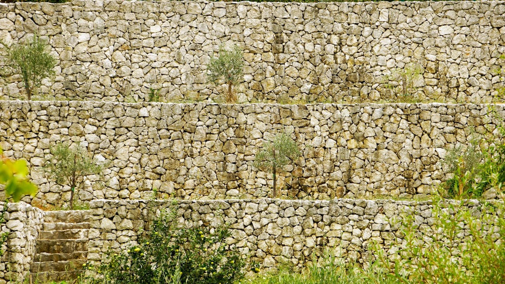 green plants