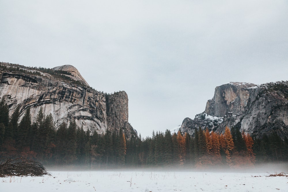 Half Dome, Yosemite National Park