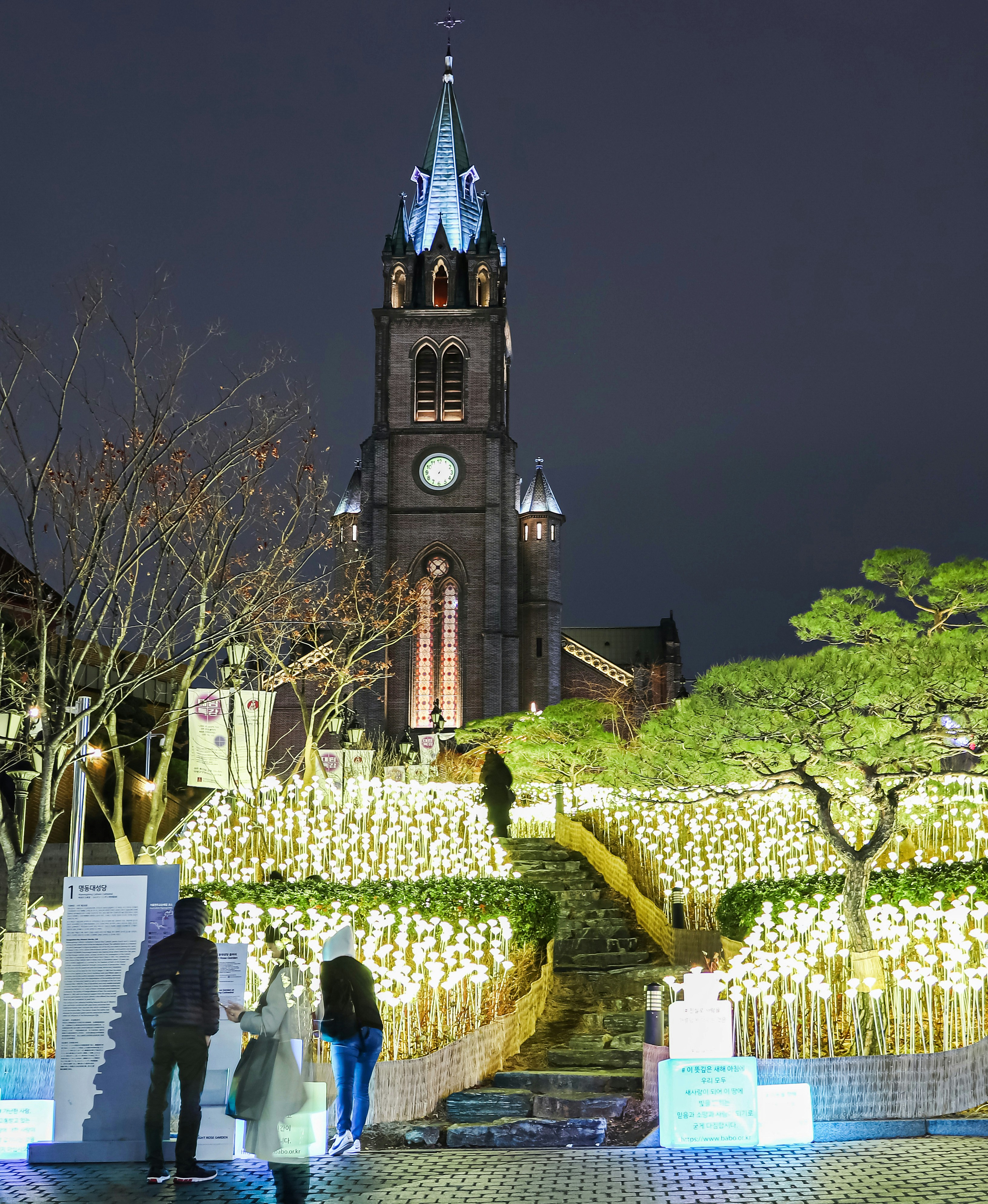 people standing near LED flowers