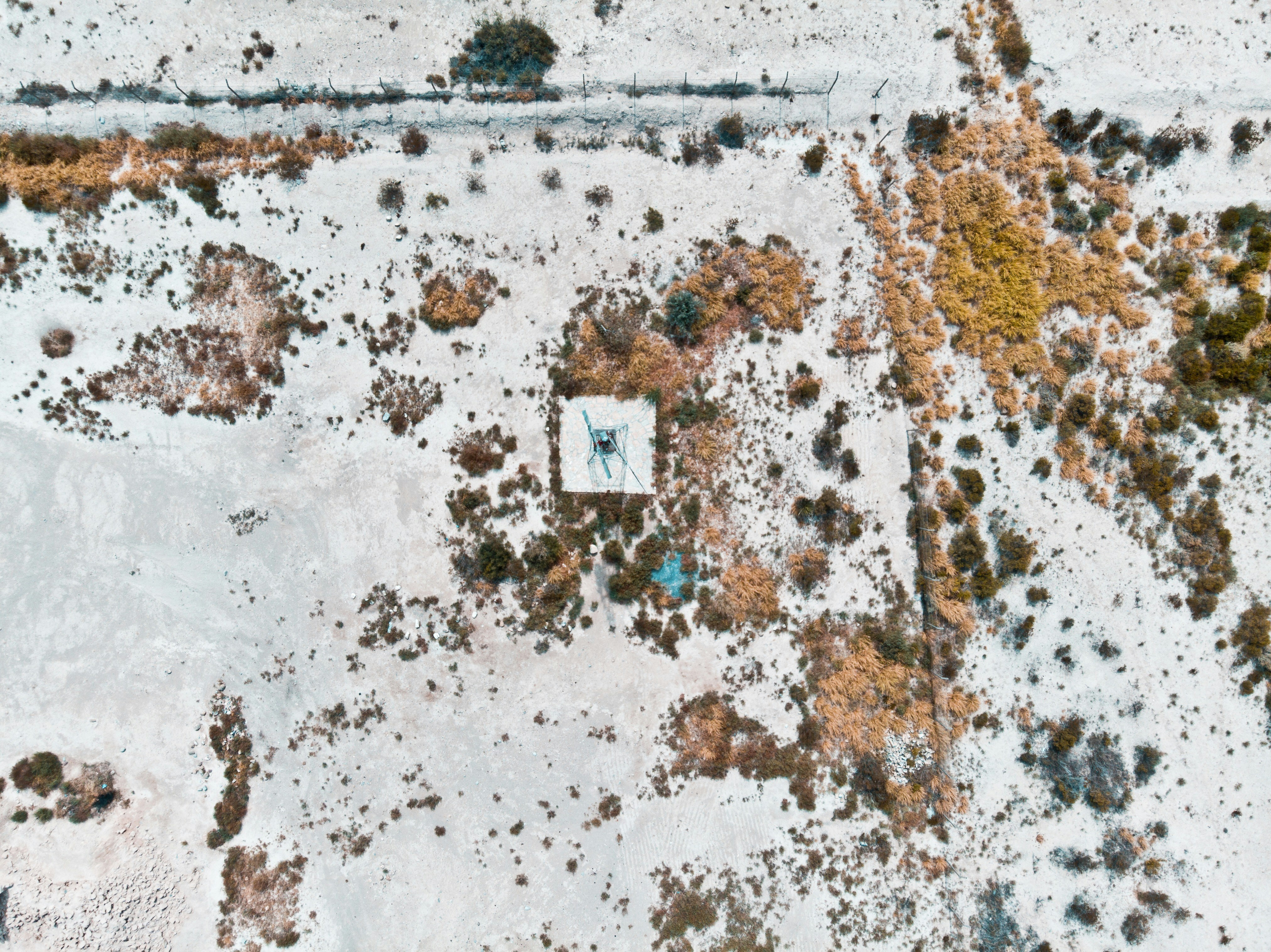 Photo by eduardocanophotoco