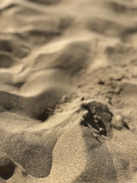 Close-up of warm golden sand grains illuminated by soft sunlight, symbolizing natural energy storage.