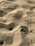 Close-up of raw silica sand in a mining site under natural light.